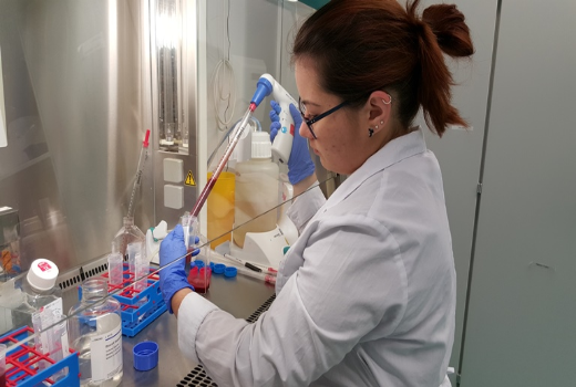 托国立研发的生物相容性骨代用品在德国进行了测试