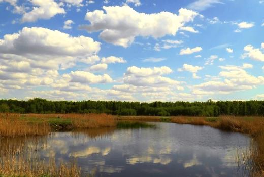 法国科学家正在研究西伯利亚湖泊中碳的储存量