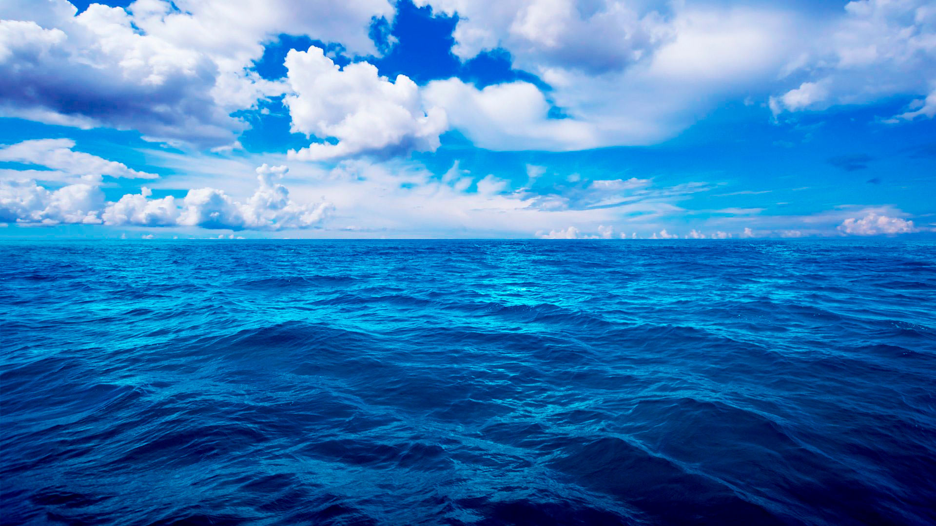 在托国立将创建评估海洋实时污染情况的综合系统