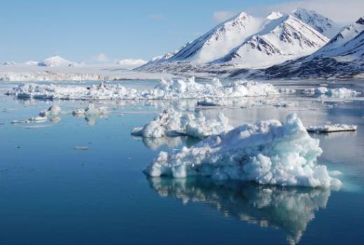 托国立生物学院的发明将有助于保护北极的生态系统