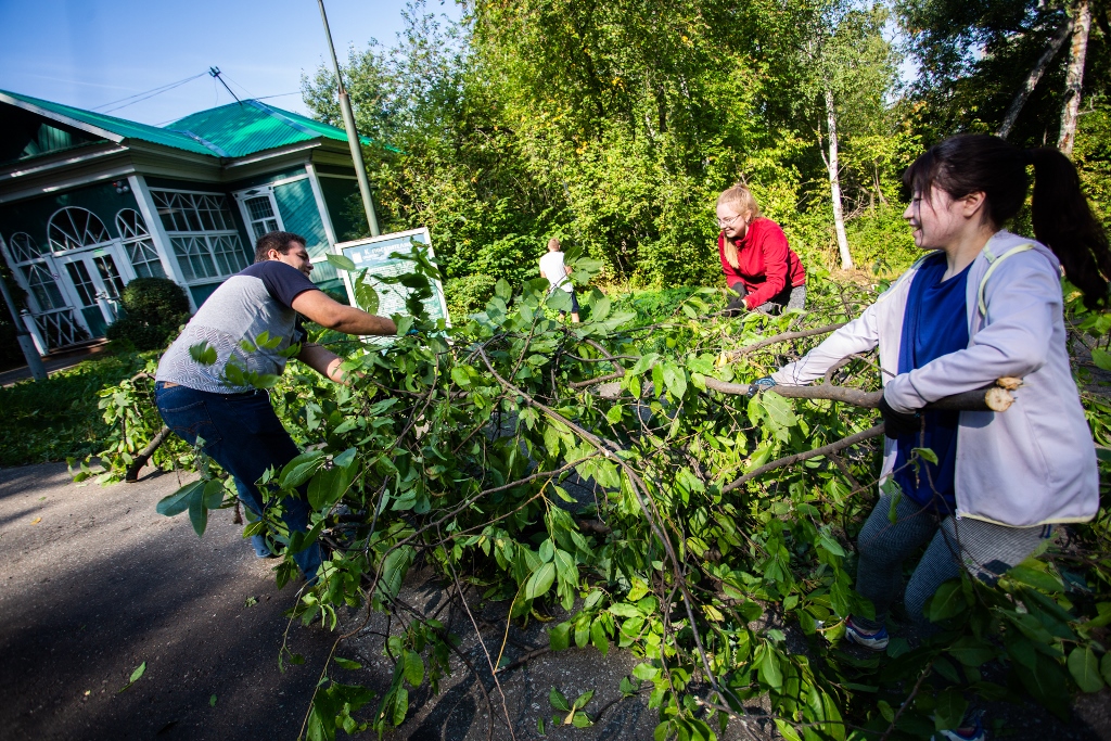 来自5个国家的志愿者在植物园和温室完成清理工作