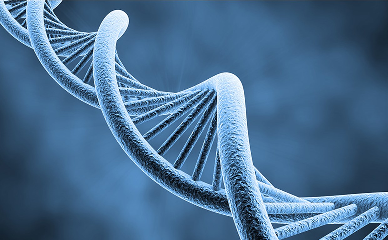 《科学家们发现了一种基因……》这将打消遗传学的神话
