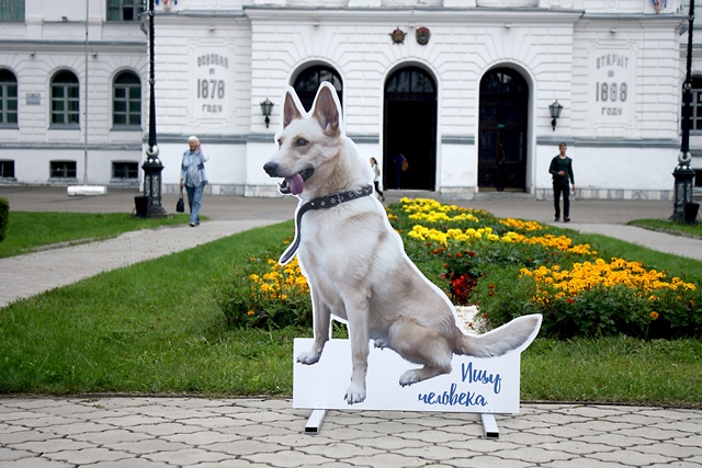 在托国立的举办活动：发给人类的明信片和动物的故事