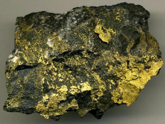 托国立的科学家帮助人们发现了新的金矿