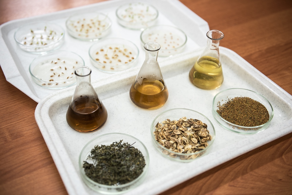托国立生物学家帮助研发更为有效地除草剂