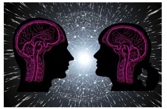 科学家们发现环境中的纳米粒子如何进入大脑 