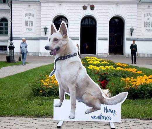 居民为流浪动物建立储蓄雕像筹集了40万卢布