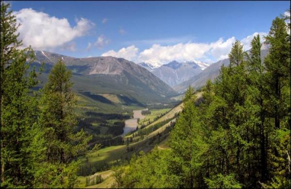 全英文教学的生物多样性国际硕士项目