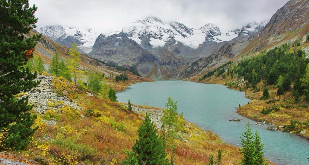 托国立专家：生物多样性正在以不可思议的速度递减