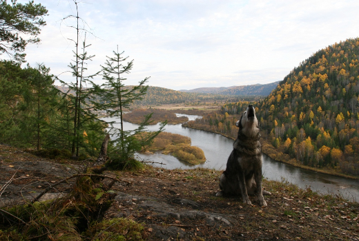 西伯利亚进入全球旅游胜地前50名